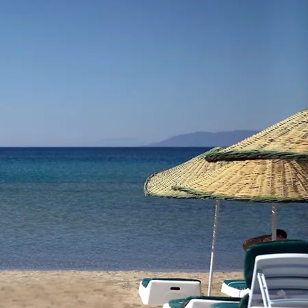 Palmera Hotel